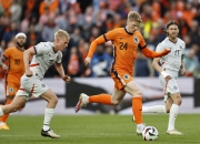 荷兰队取得胜利，争夺欧洲杯资格