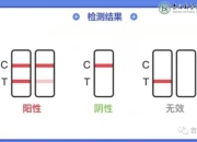 猛龙队球员获得新冠检测阴性结果的简单介绍